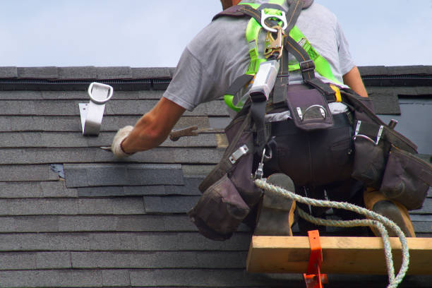 Best Roof Repair Services  in Johnston City, IL