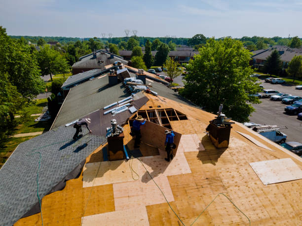 Roof Waterproofing Services in Johnston City, IL