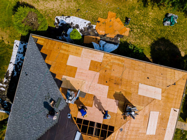 Best Local Roofing Companies  in Johnston City, IL