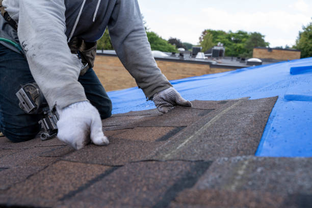 Best Local Roofing Companies  in Johnston City, IL