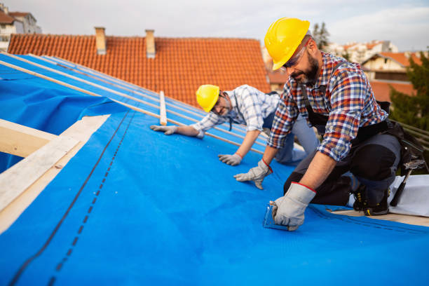 Best Roof Maintenance Services  in Johnston City, IL