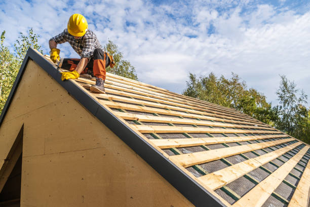 Best New Roof Installation  in Johnston City, IL