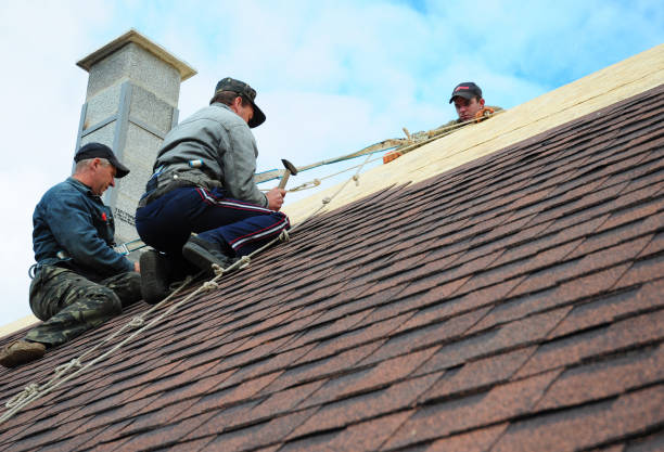 Best Roof Leak Repair  in Johnston City, IL