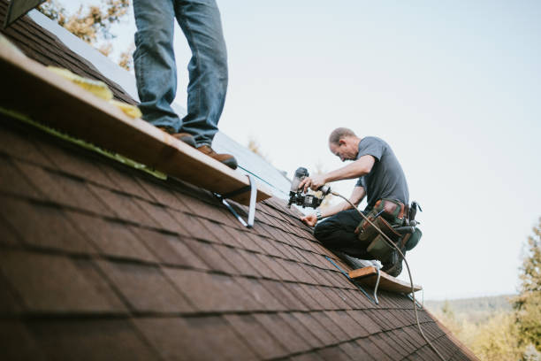 Best Roof Leak Repair  in Johnston City, IL
