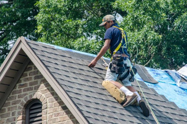 Best Roof Waterproofing Services  in Johnston City, IL
