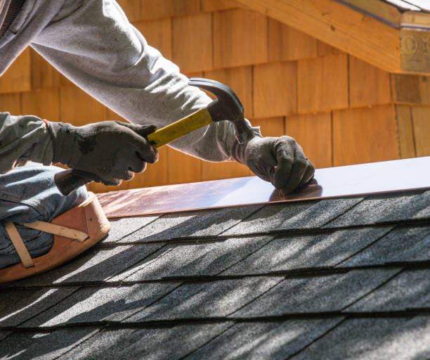 Roof Gutter Cleaning in Johnston City, IL